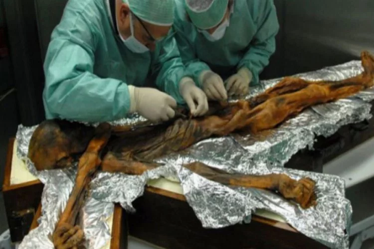 Buz adam Ötzi'nin en son yediği yemekler ortaya çıktı