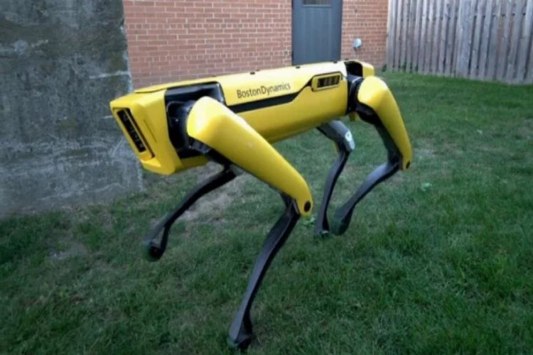 1000 adet robot köpek üretilecek