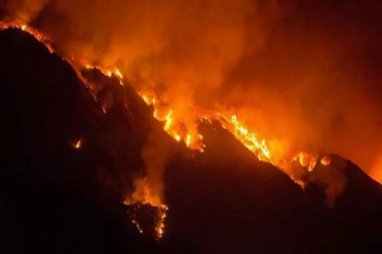California'daki yangın nedeniyle binlerce kişi tahliye edildi