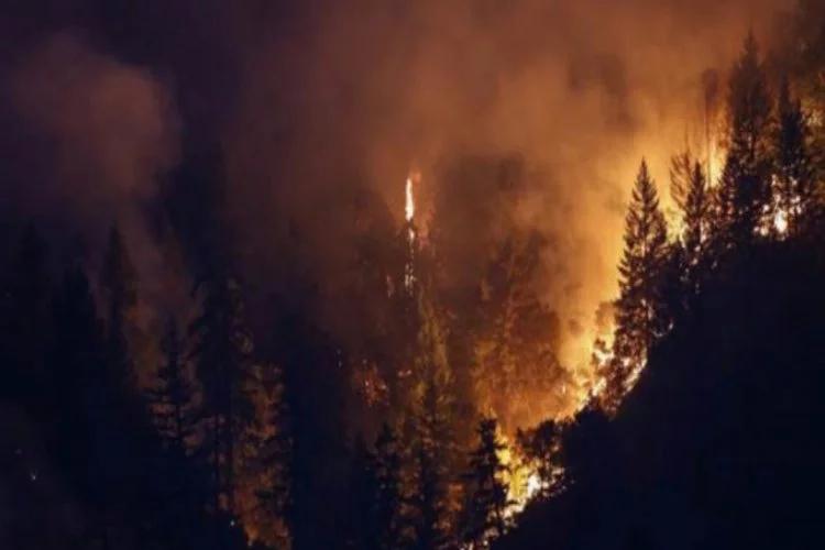 California yangın kontrol altına alınamıyor