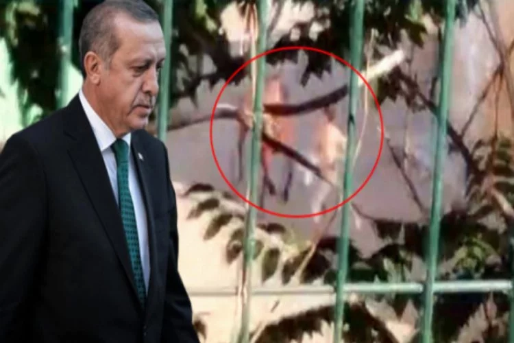 Cumhurbaşkanı Erdoğan kalkacak demişti! İşte caniliğin fotoğrafı