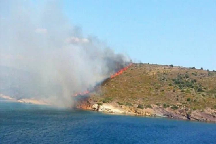 Maden adasında orman yangını