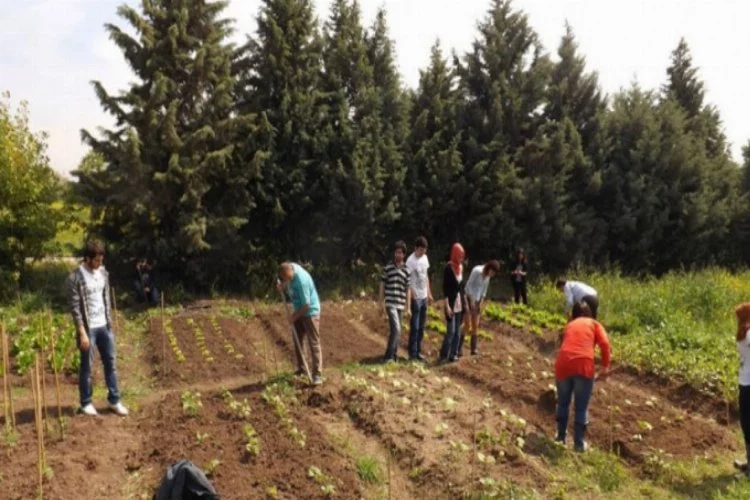 Bursa'da Ziraat Mühendisleri, tarlada ve çiftlikte mesleği öğreniyor