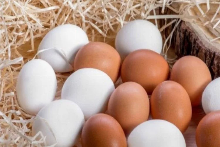 Yumurta fiyatları ne üreticiyi ne tüketiciyi memnun ediyor