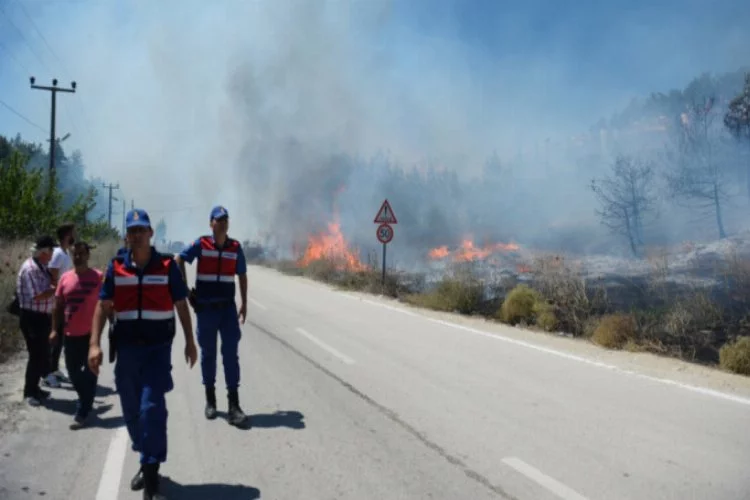 Bursa Valisi İzzettin Küçük: Yangına bütün gücümüzle müdahale ediyoruz