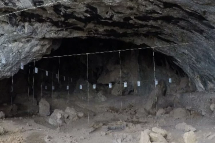 Direkli Mağarası'nda buldu! Tam 14 bin yıllık