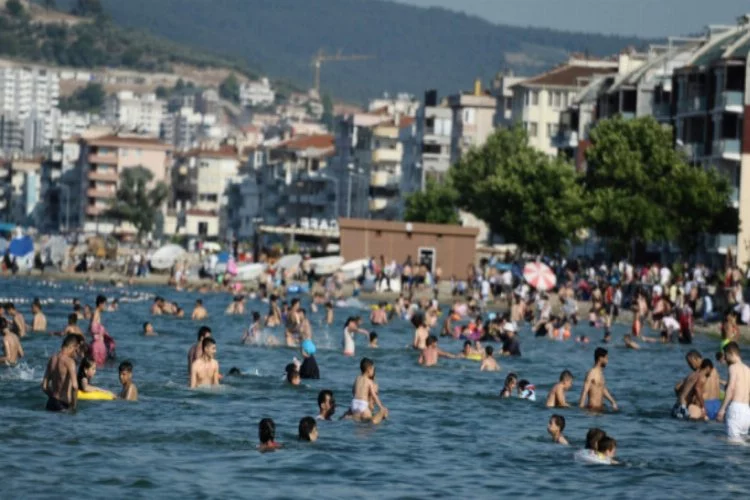 Bursa sahillerinden tatilcileri sevindiren haber