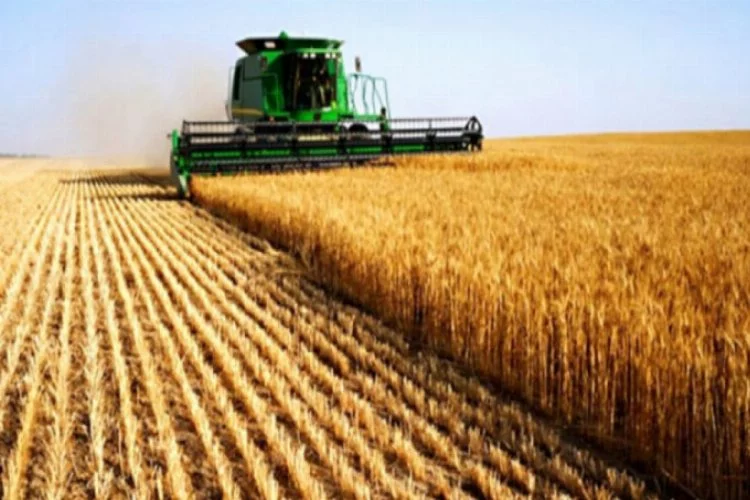 Dünyada buğday stoku eriyor