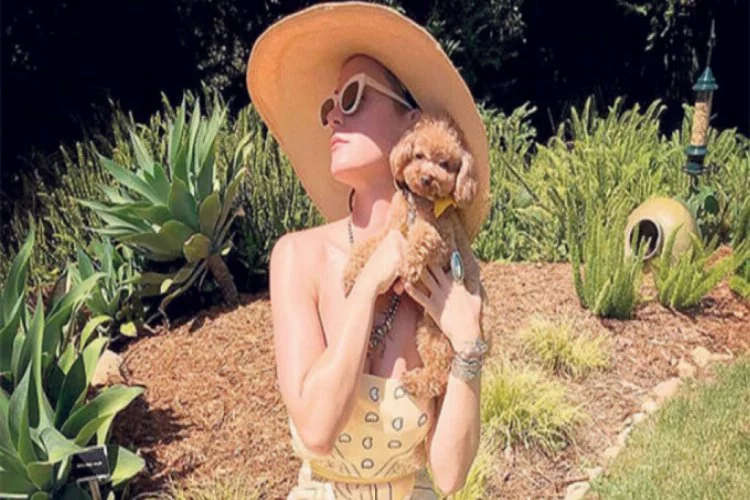 Katy Perry'nin köpeği sosyal medyayı salladı