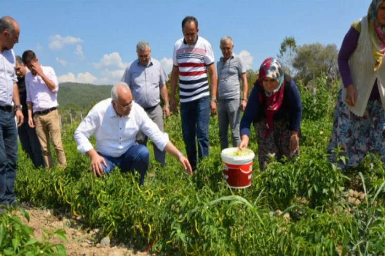 Orhaneli Belediye Başkanı İrfan Tatlıoğlu, projelerine devam ediyor...