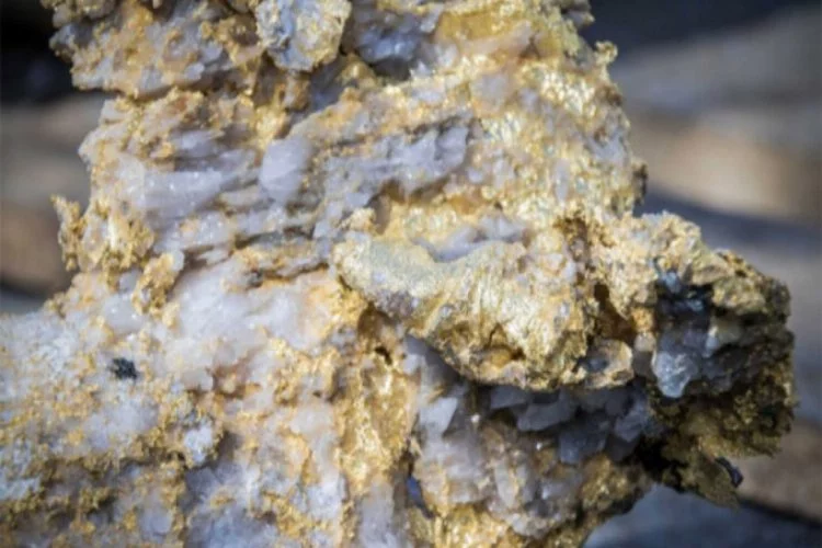 Altın kabuk bağlamış dev kayalar bulundu! 6,6 milyon dolar değerinde