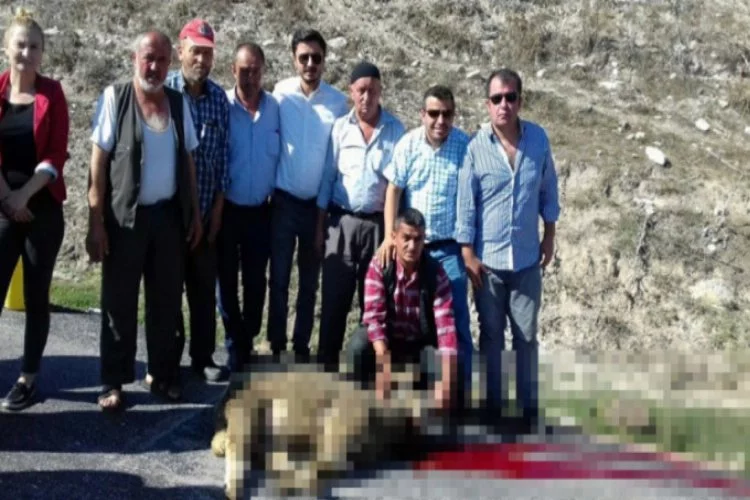 Bursa'da köye asfalt gelince kurbanlar kesildi
