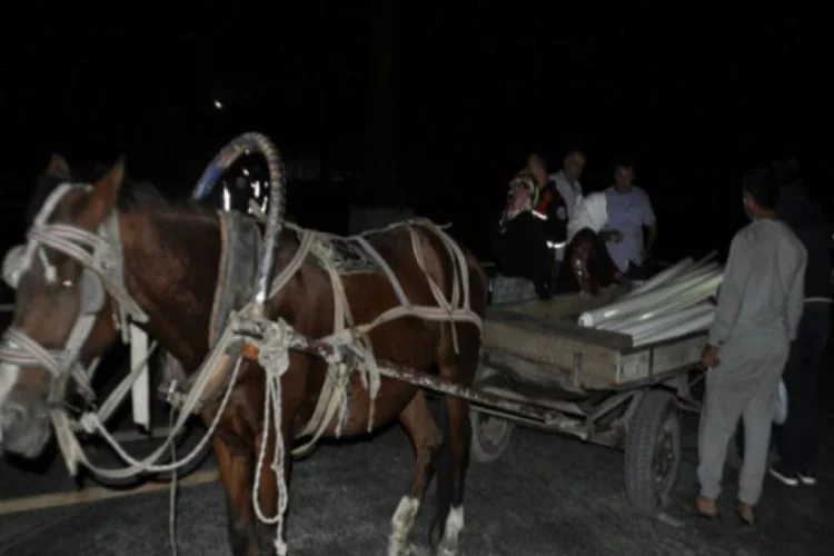 Bursa'da at arabasıyla gözaltına alındı