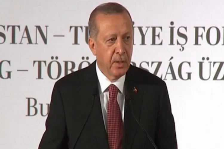 Cumhurbaşkanı Erdoğan: Türk ekonomisinin temelleri sağlamdır