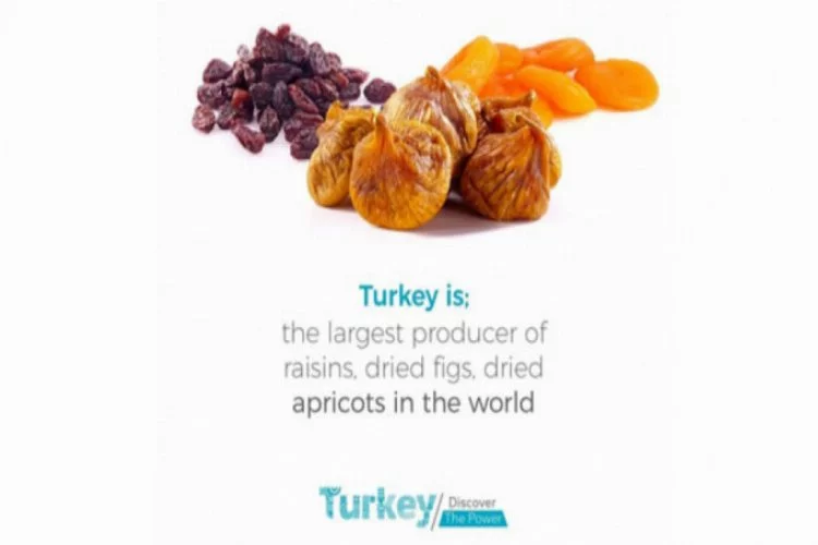 Türkiye'nin ihracatta öne çıktığı veriler hazırlandı