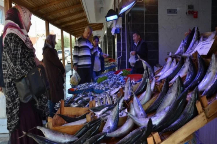 Bursa'ya modern balık pazarı