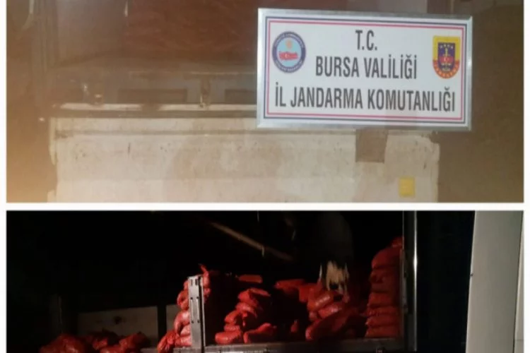 Bursa'da kaçakçılara yönelik operasyon!