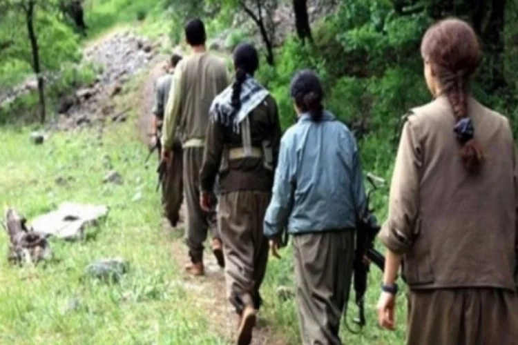 PKK'da eşcinselliğe eğilim arttı