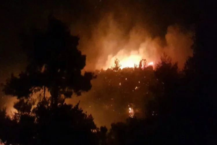 Orman alev alev yanıyor! 4 mahalle tehdit altında