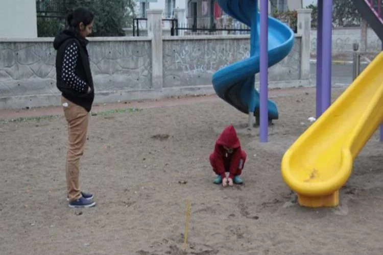 Çocuk parkında dehşete düşüren görüntü