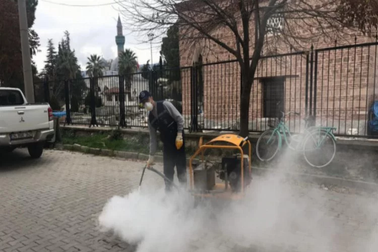Bursa'da haşereyle kış mücadelesi