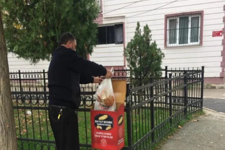Bursa'da sokak hayvanları için ekmek kutusu