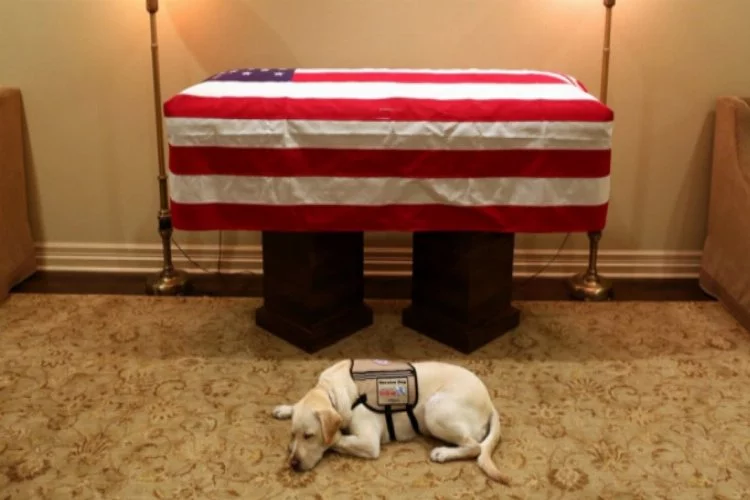 Köpeği eski ABD Başkanı Bush için yas tutuyor