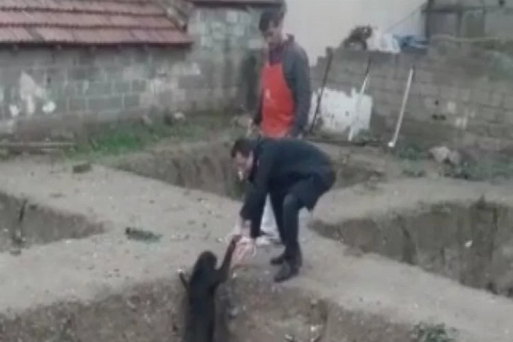 Bursa'da inşaat çukuruna düşen köpeği esnaf kurtardı