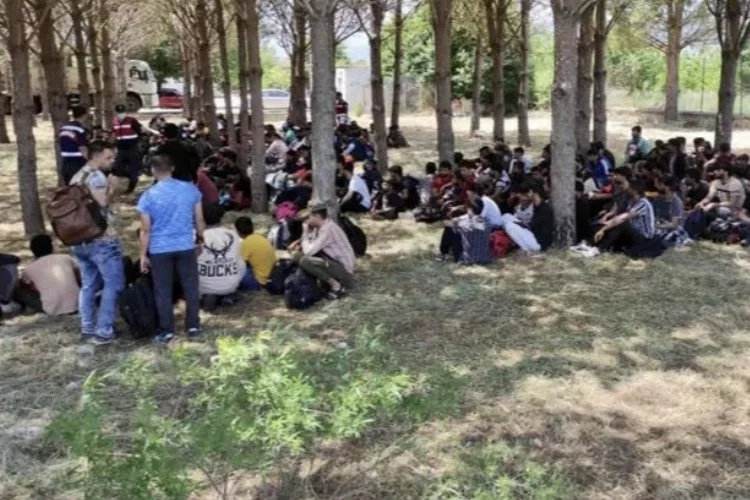 265 düzensiz göçmen yakalandı