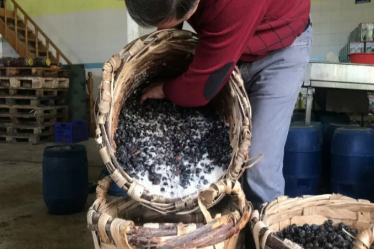 Bursa'da hasır küfelerde sele zeytini hazırlıyor