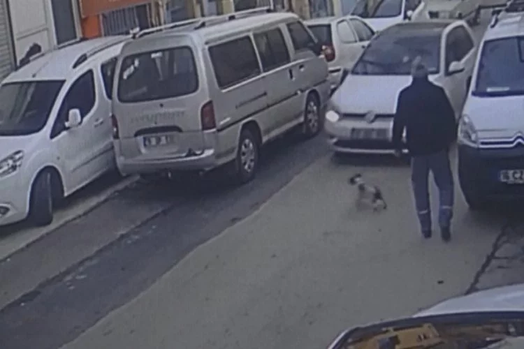 Bursa'da insanlık dışı olay! Ezdiği köpeği...