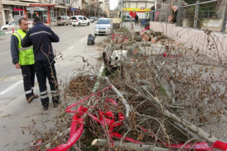 Bursa'da lodosun şiddeti gün ağarınca ortaya çıktı!