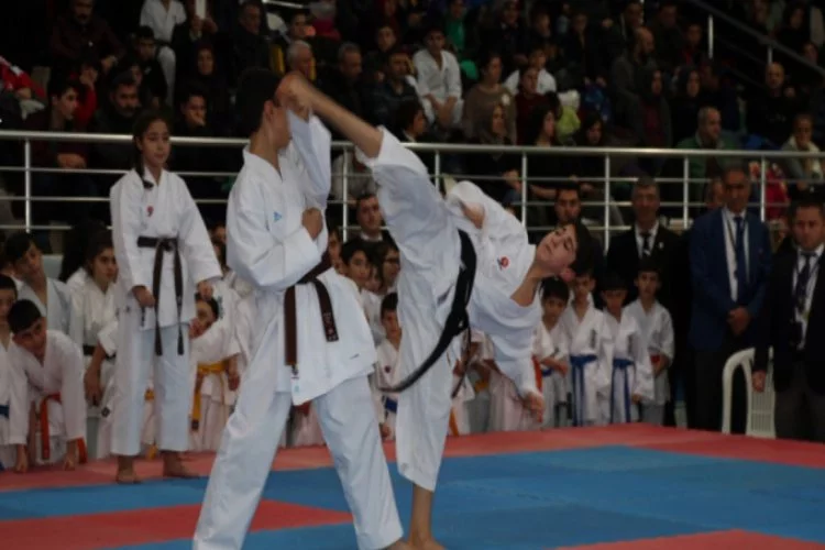 Kyokushin Karate Türkiye Şampiyonası Bursa'da başladı