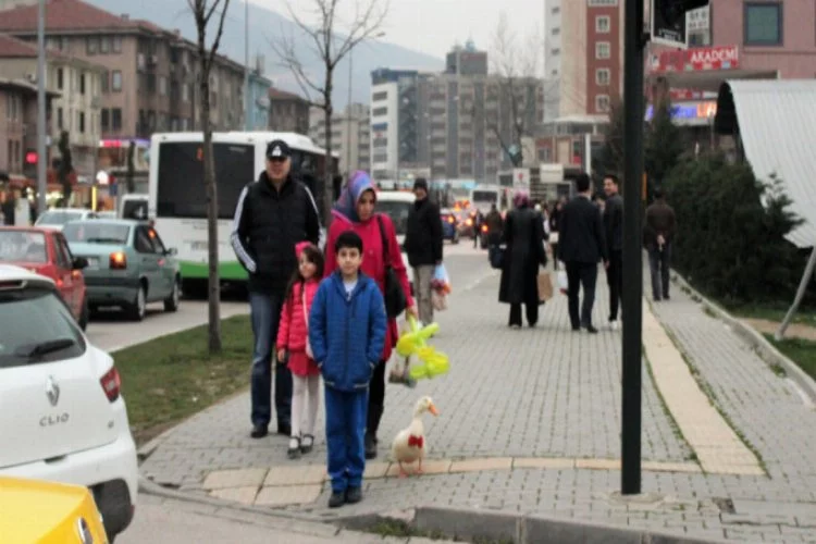 Bursa'da metropol ördek hayatını kaybetti