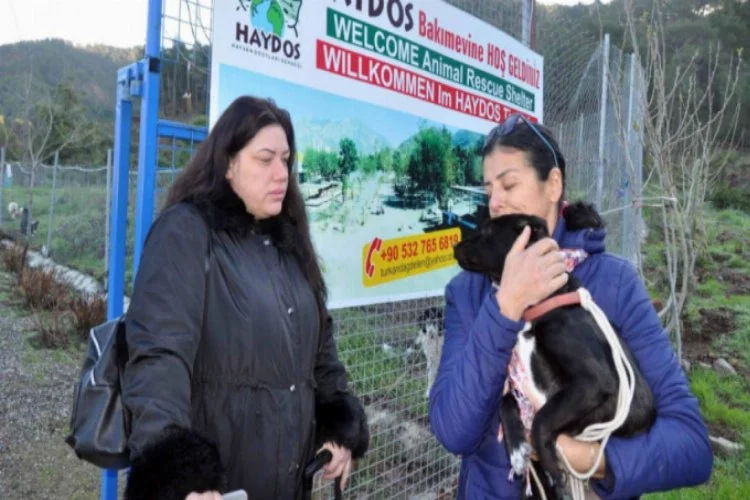 Koca şiddetinden kaçan kadın hayvan barınağına sığındı