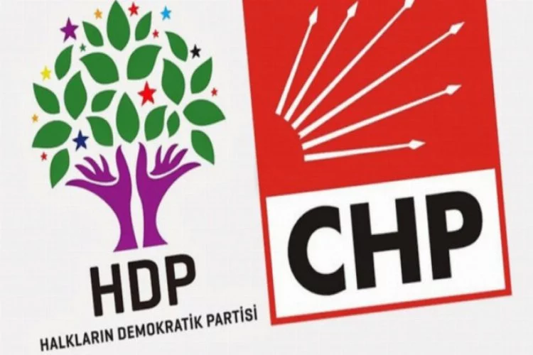 CHP ve HDP'den ortak aday