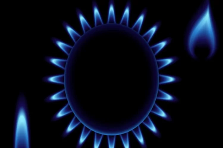 Trakya'da bulunan doğal gaz kaç konuta yetecek? Bakan açıkladı