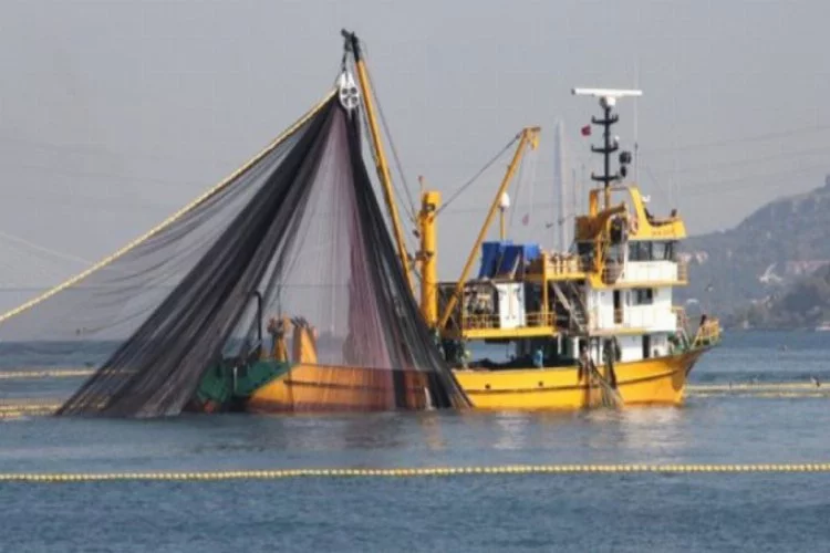 Balıkçılar ağa takılanı görünce şaştı kaldı!