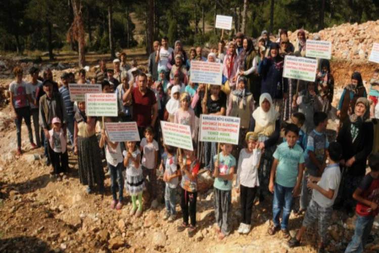 Bursa'da biyokütle enerji santralinde yürütmeyi durdurma kararı