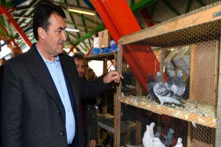 Başkan Dündar kuş pazarında!