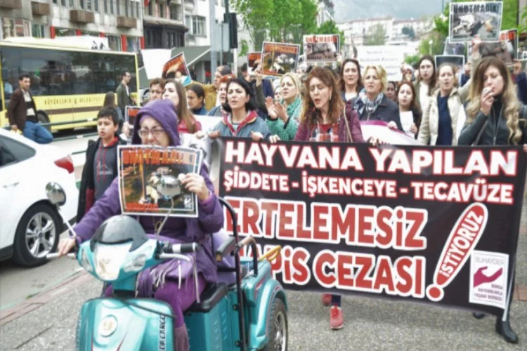 Bursalı hayvanseverlerden protesto yürüyüşü