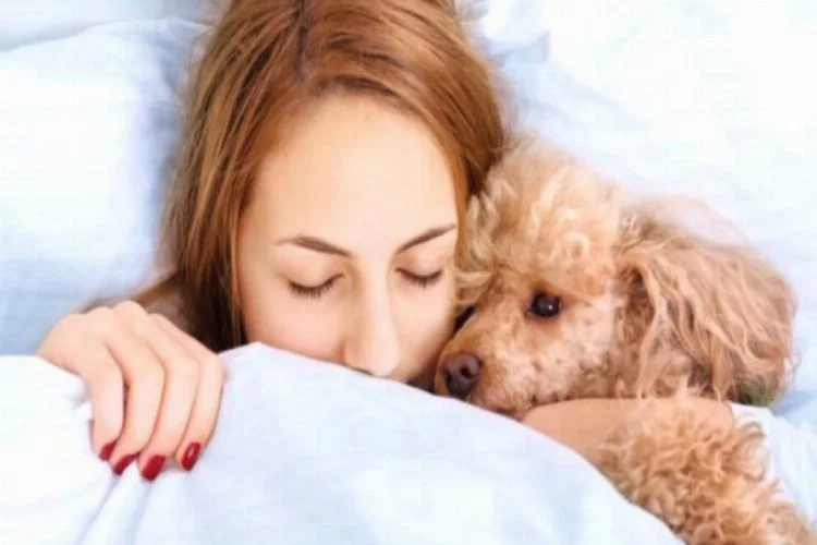 Kadınlar seçimini yaptı: Köpekle uyumak erkekle uyumaktan daha iyi