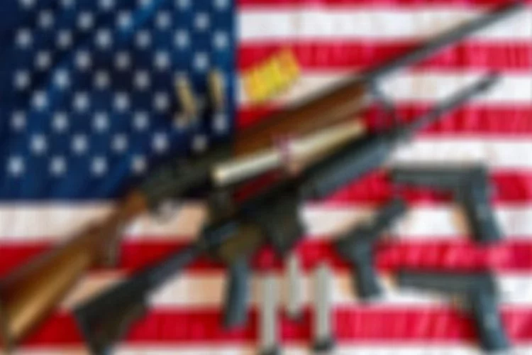 ABD'de bir evde binden fazla silah ele geçirildi!