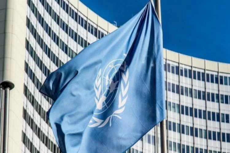 Birleşmiş Milletler'den kritik açıklama