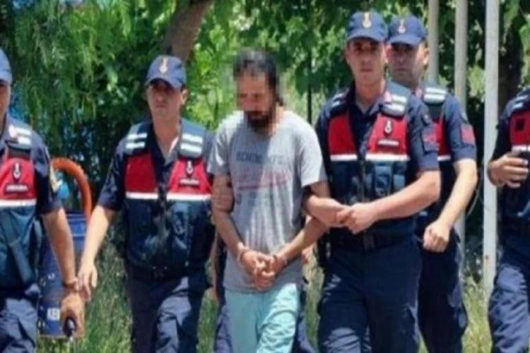 Arkeolog Sinan Sertel'in katil zanlısı tutuklandı