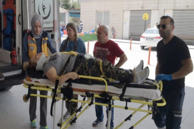 Bursa'da ağaçtan düşen kadın ağır yaralandı