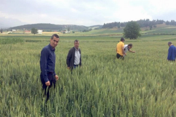 Bursa'da çiftçiye önemli uyarı