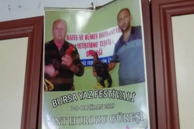 Bursa'da hayvan derneğindeki horoz dövüşüne baskın!