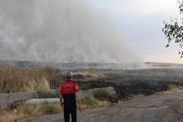 Suriye sınırında yangın