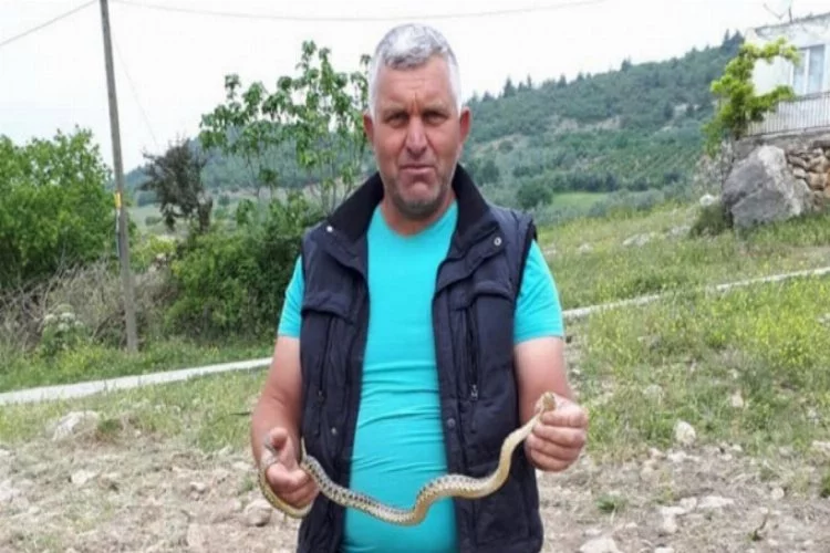 Bursa'da çiftçi yılanla adeta dans etti!